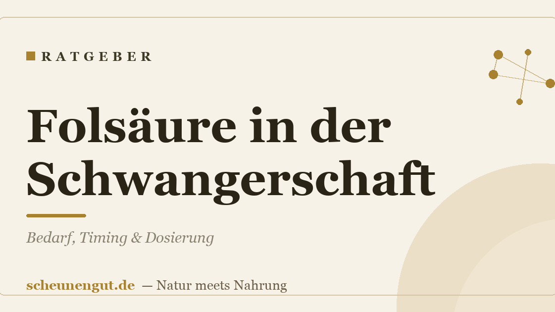 Folsäure in der Schwangerschaft – Bedarf, Timing & Dosierung