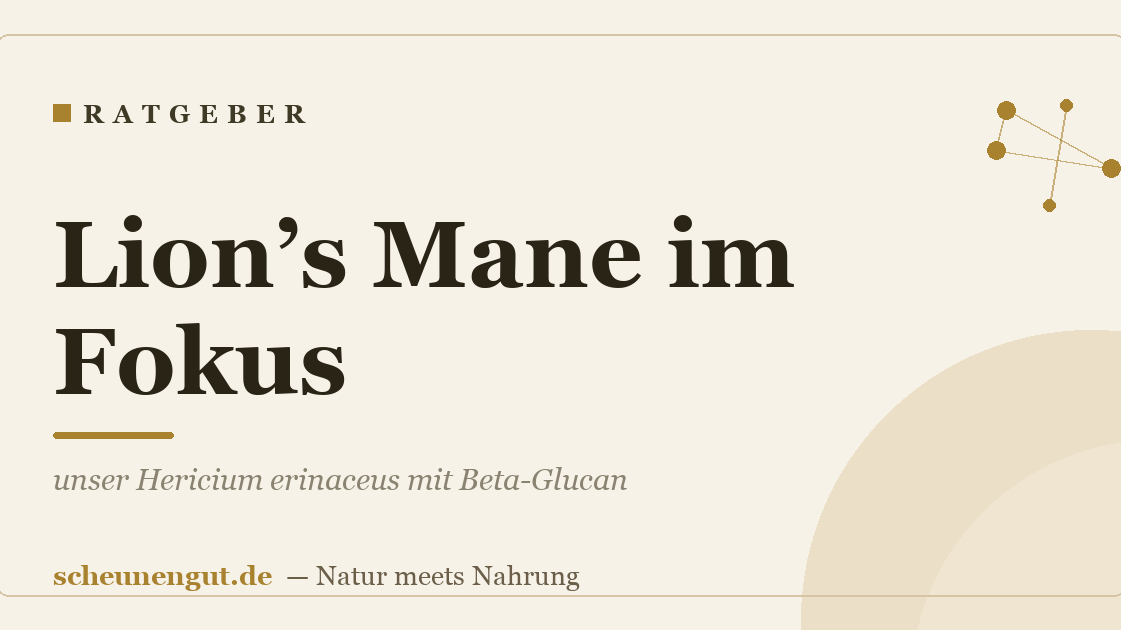 Lion’s Mane im Fokus: unser Hericium erinaceus mit Beta-Glucan