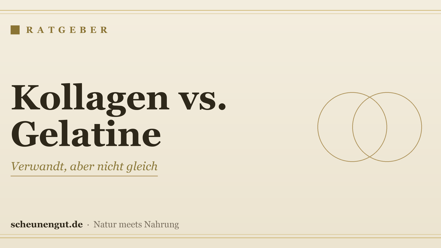 Kollagen oder Gelatine? Der Unterschied – Ratgeber von Scheunengut