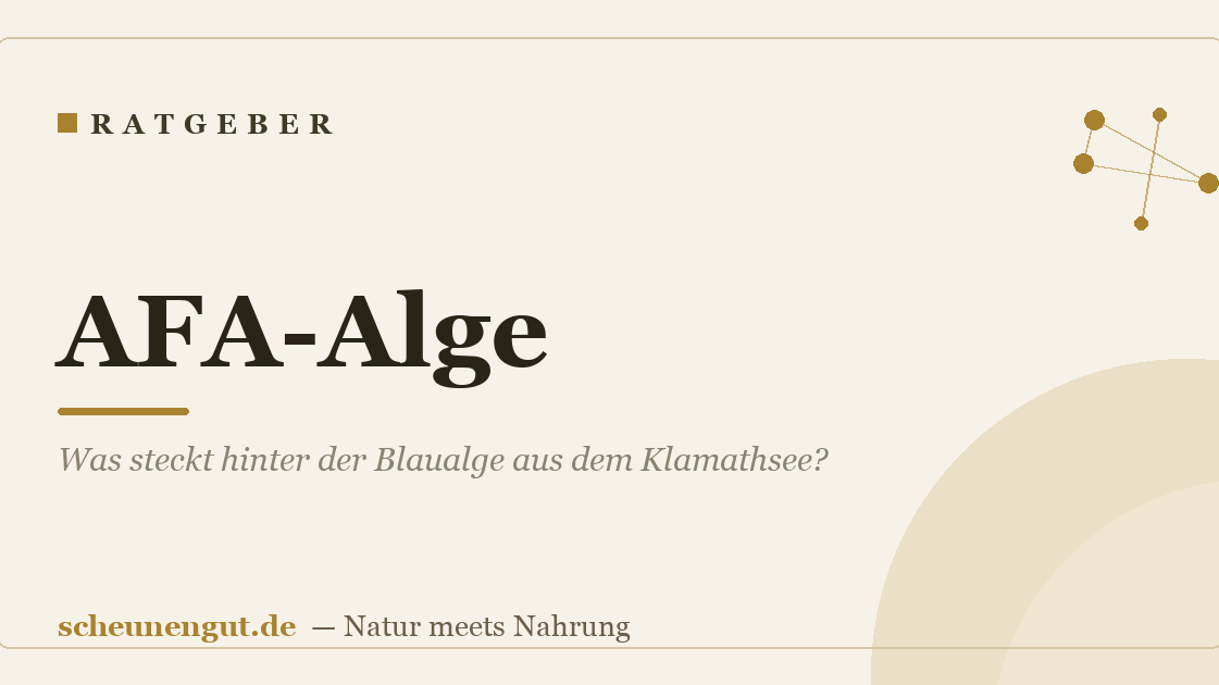 AFA-Alge: Was steckt hinter der Blaualge aus dem Klamathsee?