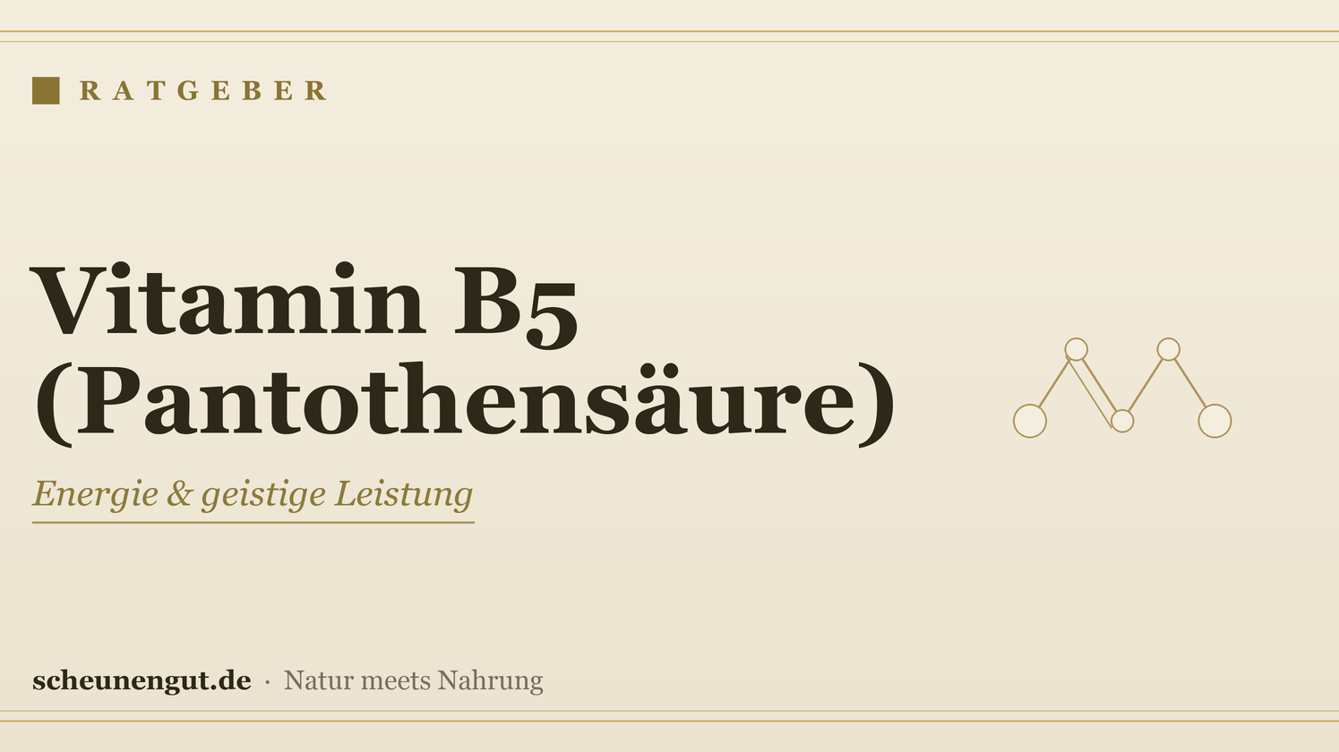 Vitamin B5 (Pantothensäure): Wirkung & Bedarf – Ratgeber von Scheunengut