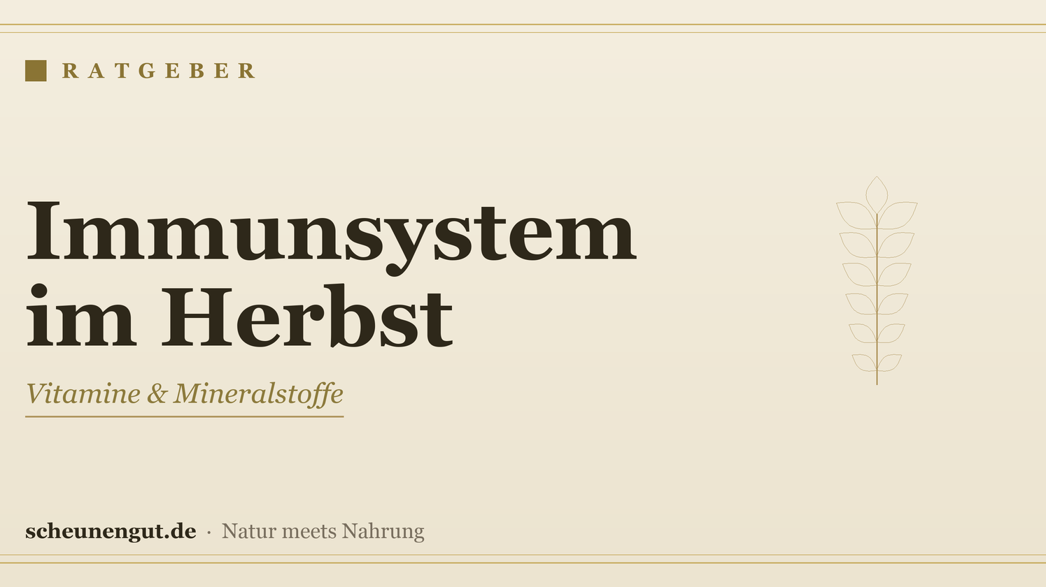 Immunsystem im Herbst aufbauen: Vitamine & Mineralstoffe – Ratgeber von Scheunengut