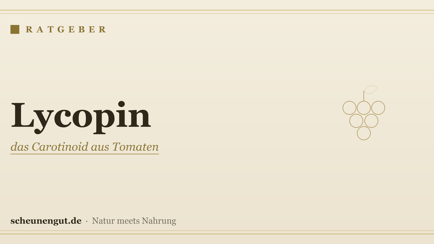 Lycopin: das Carotinoid aus Tomaten – Ratgeber von Scheunengut