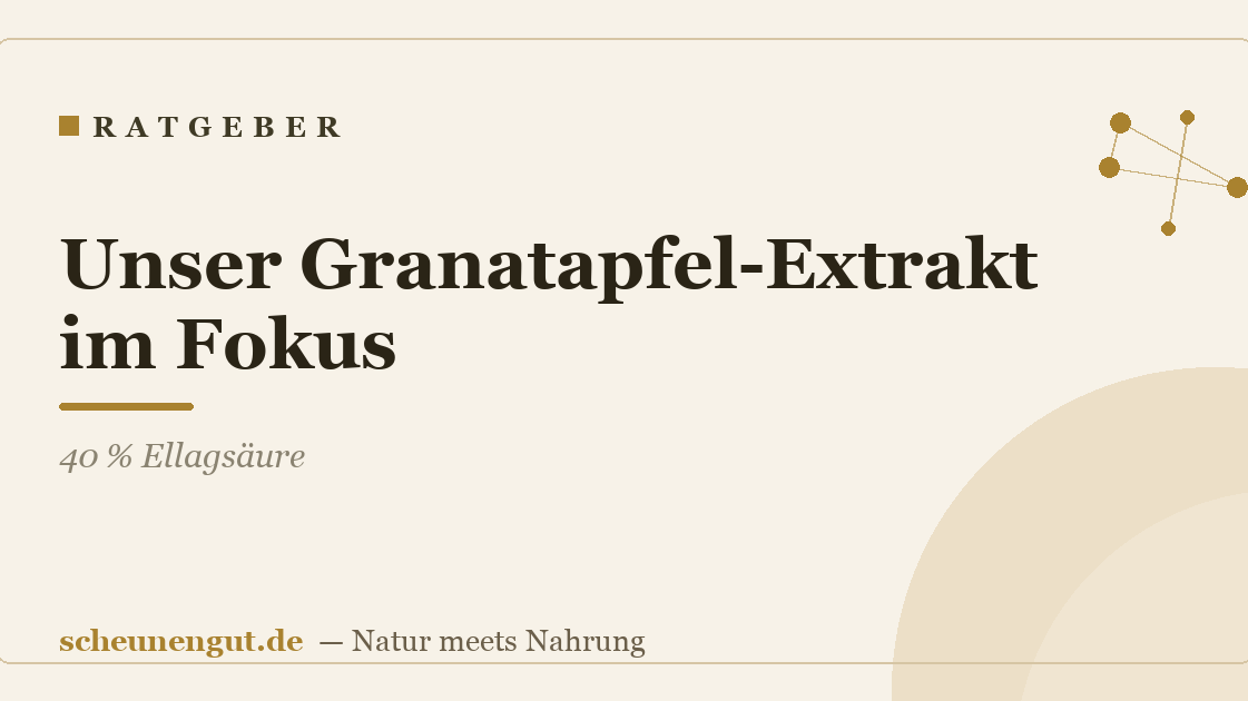 Unser Granatapfel-Extrakt im Fokus: 40 % Ellagsäure
