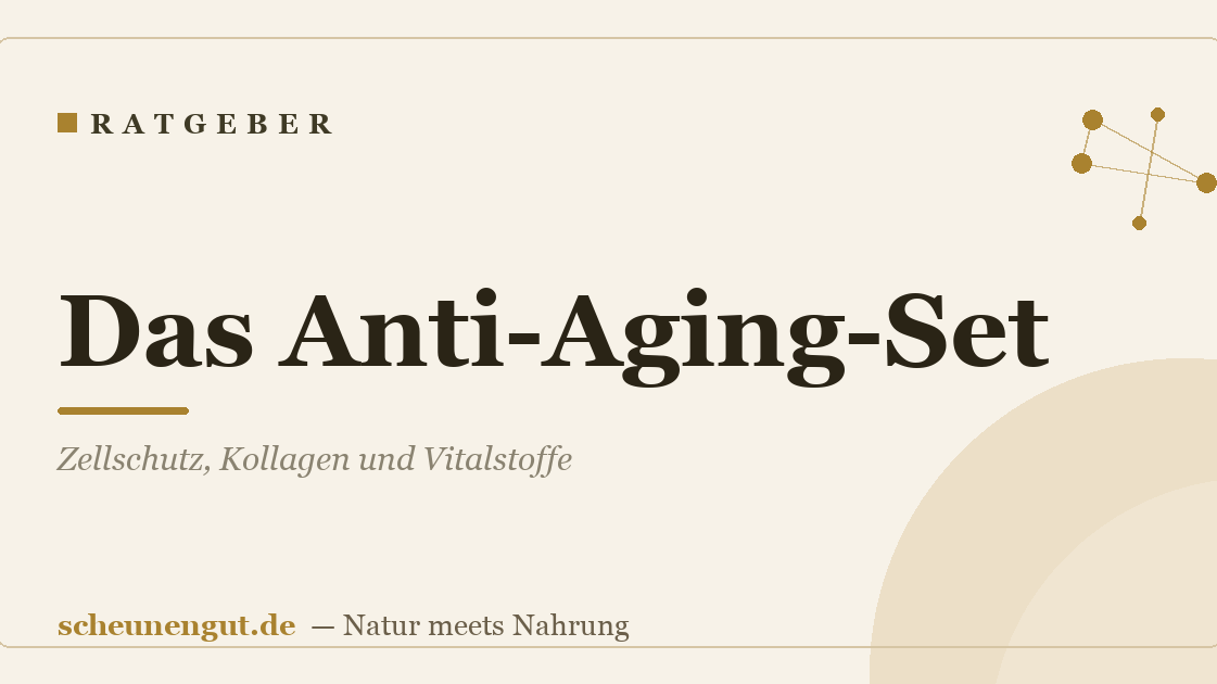 Das Anti-Aging-Set: Zellschutz, Kollagen und Vitalstoffe