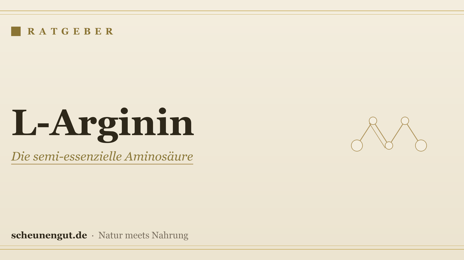 L-Arginin: Was es ist und wie man es nimmt – Ratgeber von Scheunengut