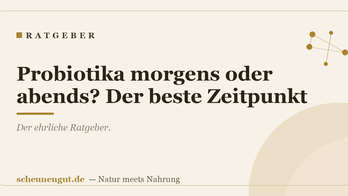 Probiotika morgens oder abends? Der beste Zeitpunkt