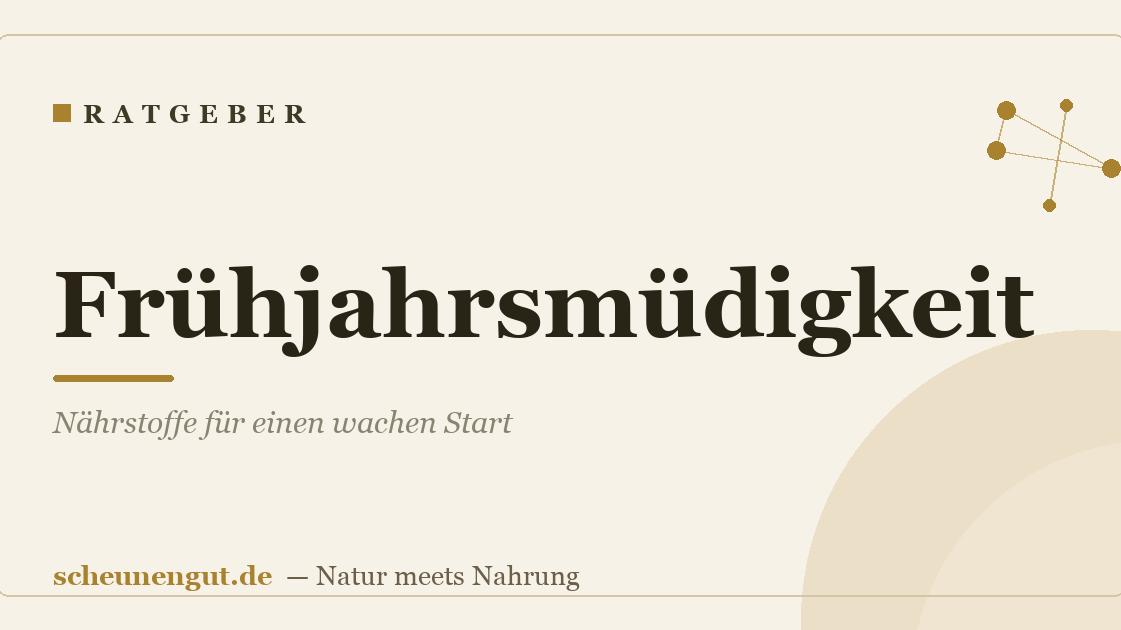 Frühjahrsmüdigkeit: Nährstoffe für einen wachen Start