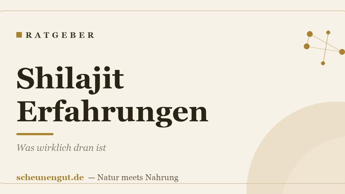 Shilajit Erfahrungen: Was wirklich dran ist