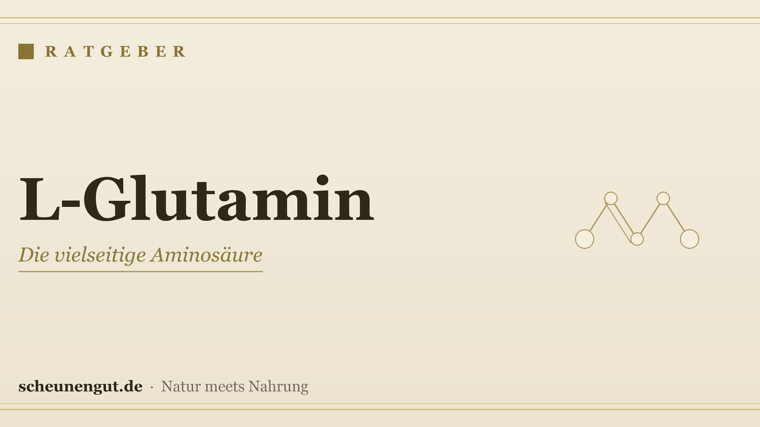 L-Glutamin: Wirkung & Einnahme (Sport, Darm) – Ratgeber von Scheunengut