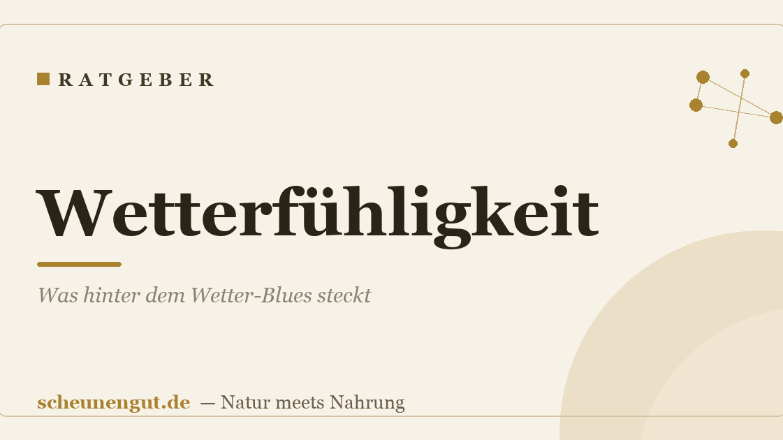 Wetterfühligkeit: Was hinter dem Wetter-Blues steckt