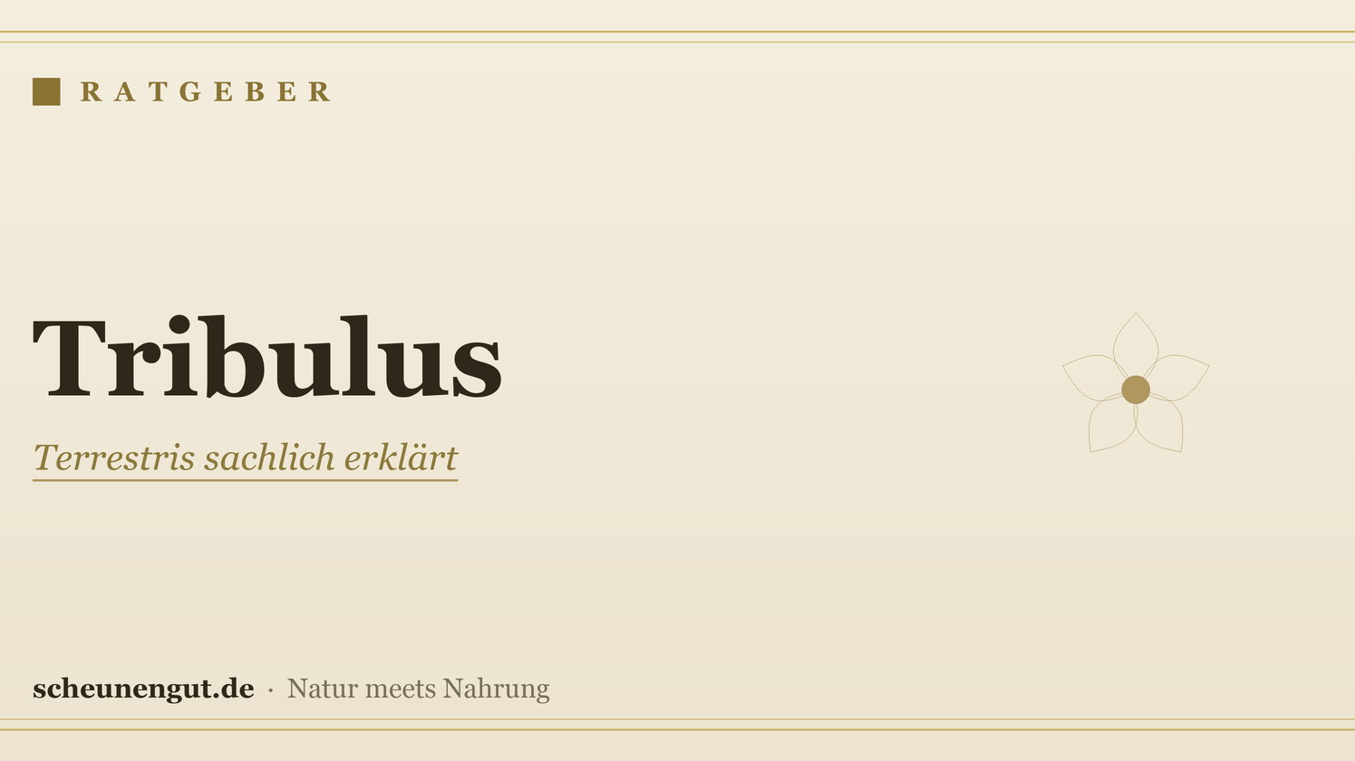 Tribulus terrestris: sachlich erklärt – Ratgeber von Scheunengut