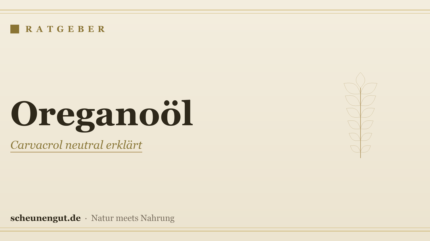 Oreganoöl (Carvacrol): Wirkung und Anwendung erklärt – Ratgeber von Scheunengut
