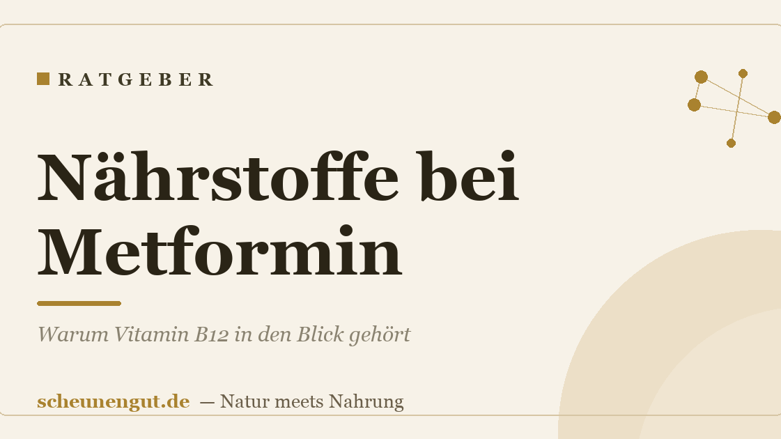 Nährstoffe bei Metformin: Warum Vitamin B12 in den Blick gehört