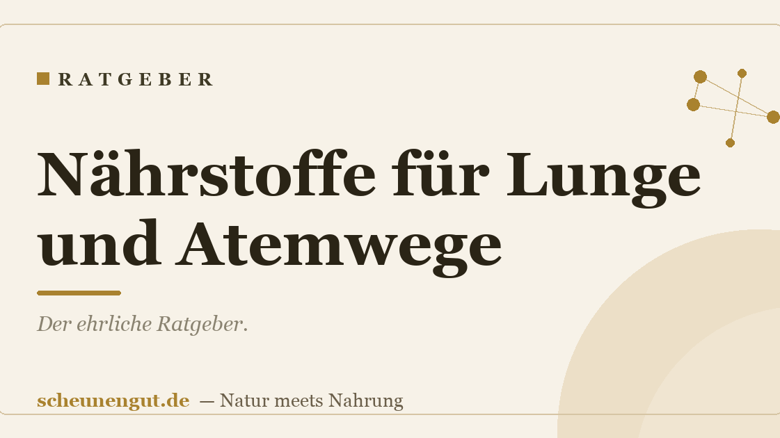 Nährstoffe für Lunge und Atemwege