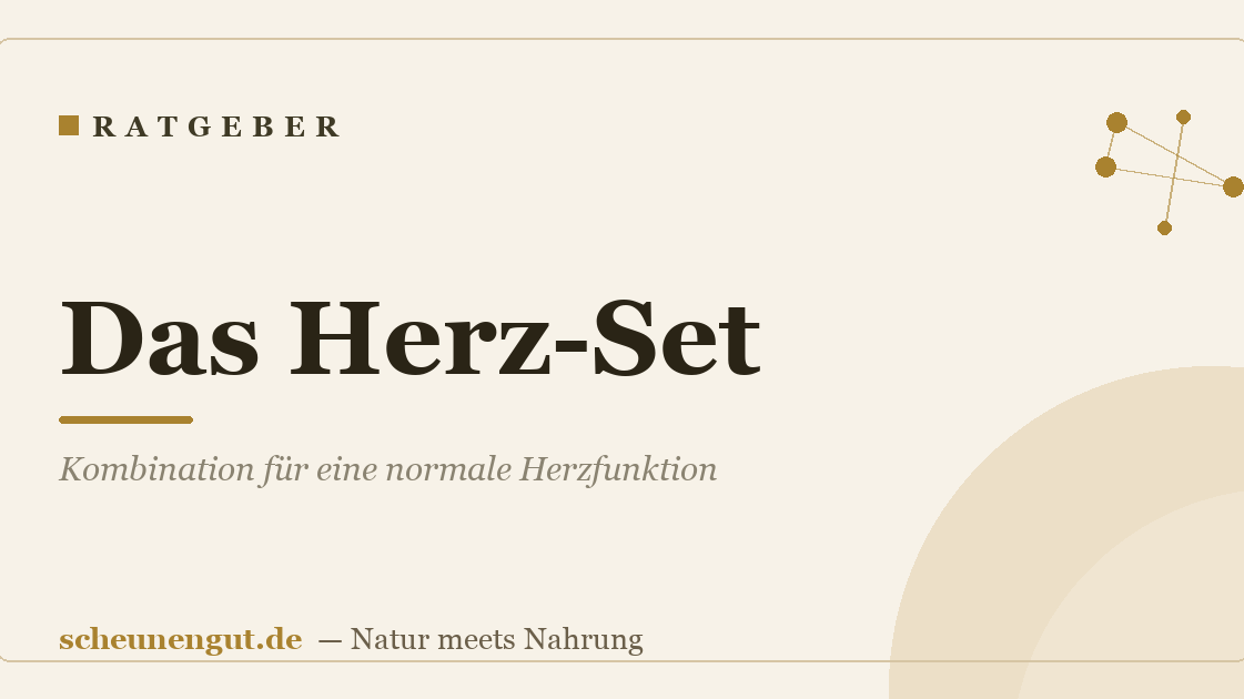 Das Herz-Set: Kombination für eine normale Herzfunktion