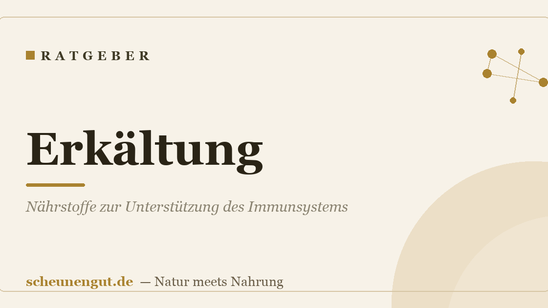 Erkältung: Nährstoffe zur Unterstützung des Immunsystems