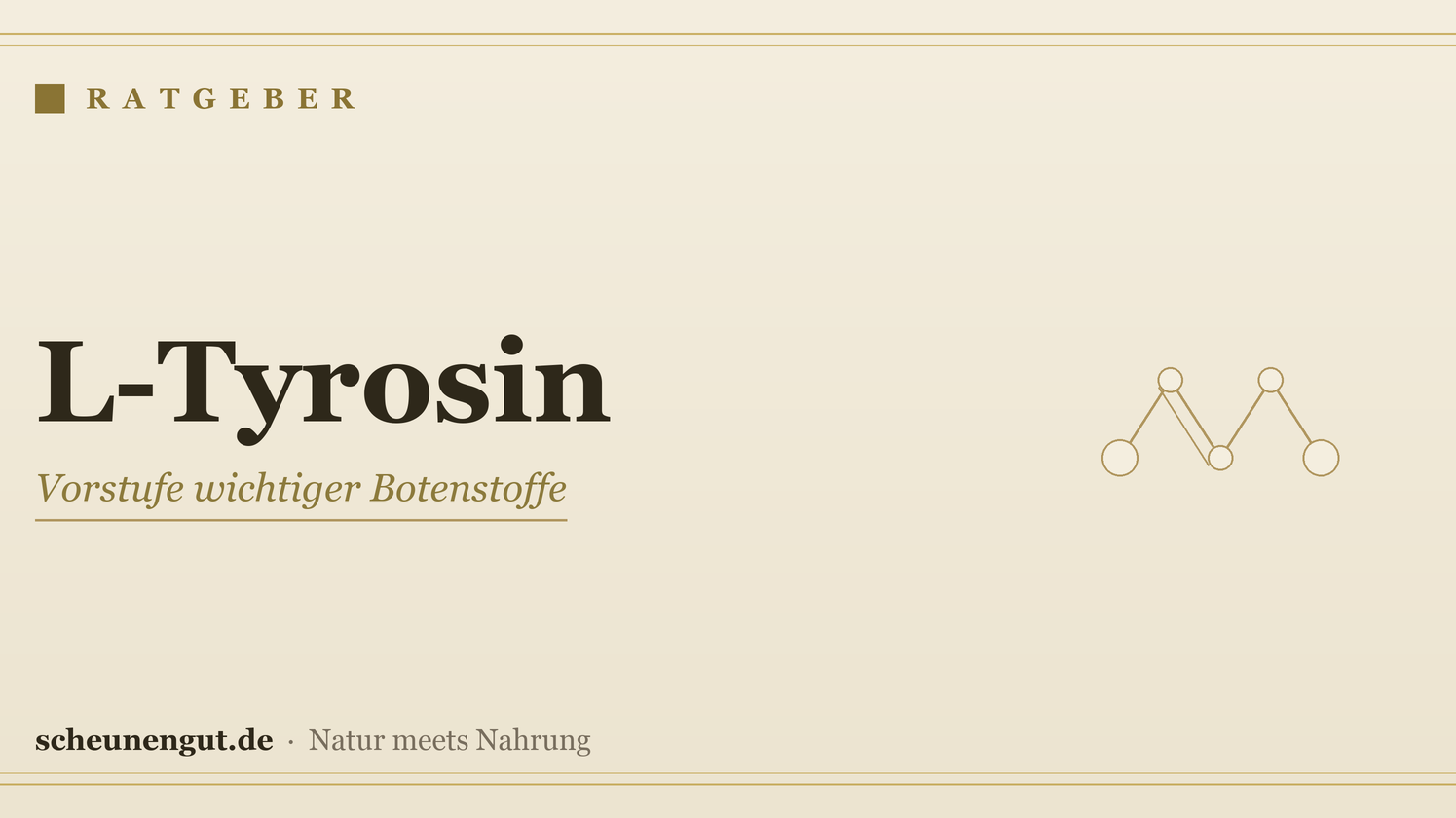 L-Tyrosin: Wirkung & Einnahme erklärt – Ratgeber von Scheunengut