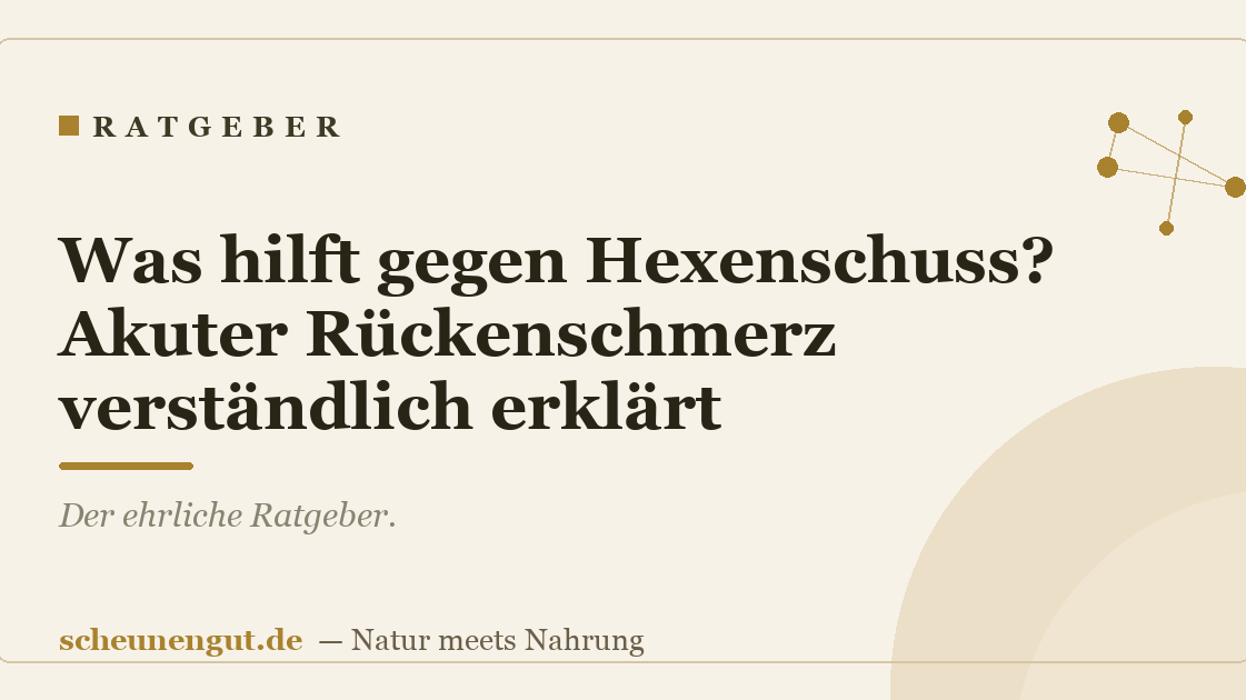 Was hilft gegen Hexenschuss? Akuter Rückenschmerz verständlich erklärt