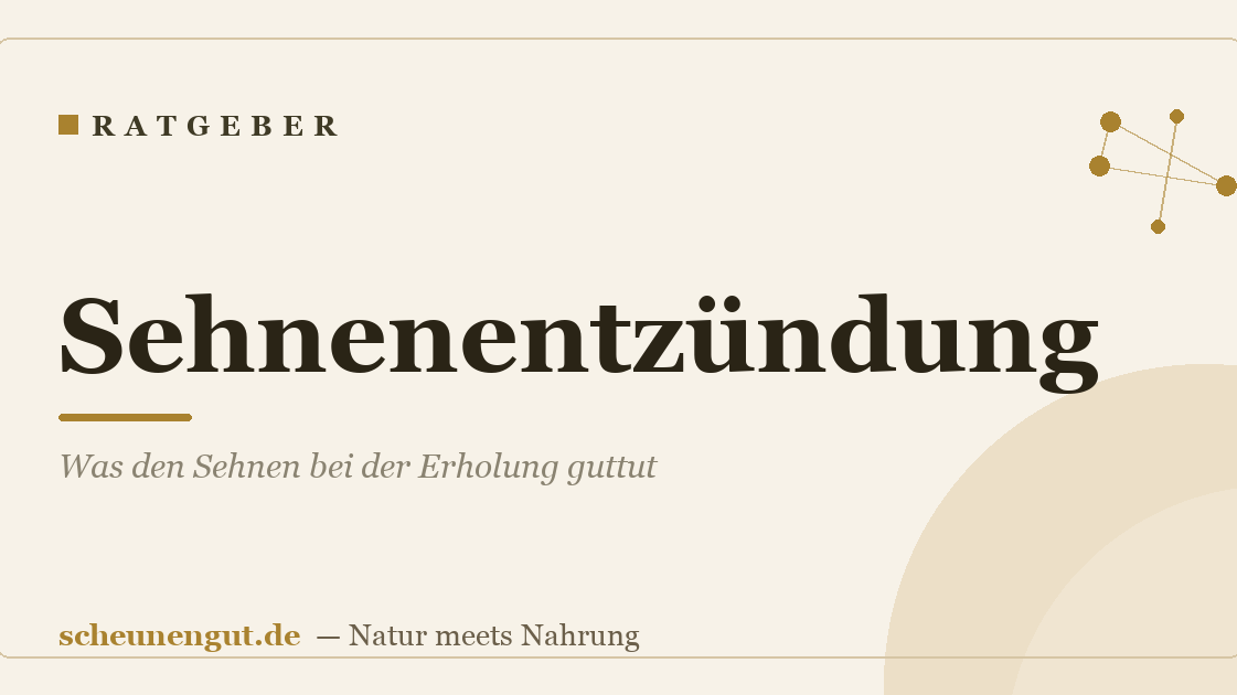 Sehnenentzündung: Was den Sehnen bei der Erholung guttut