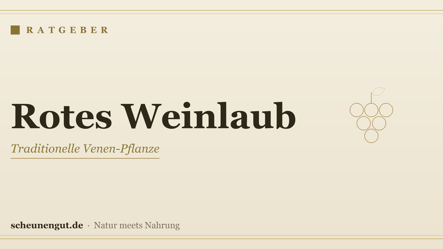 Rotes Weinlaub: Venen & schwere Beine – Ratgeber von Scheunengut
