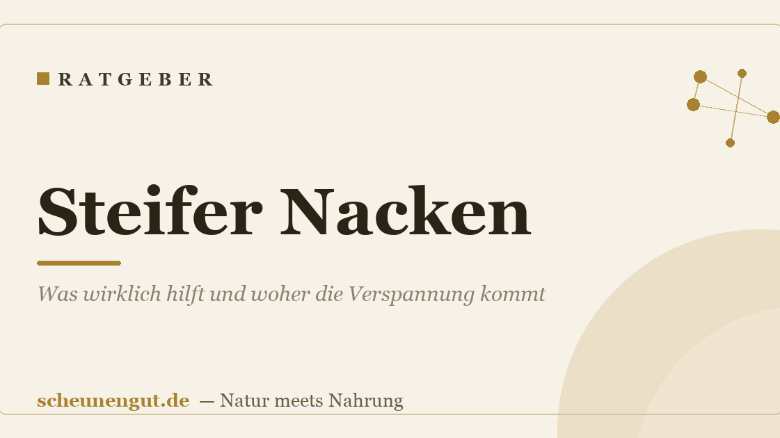 Steifer Nacken: Was wirklich hilft und woher die Verspannung kommt