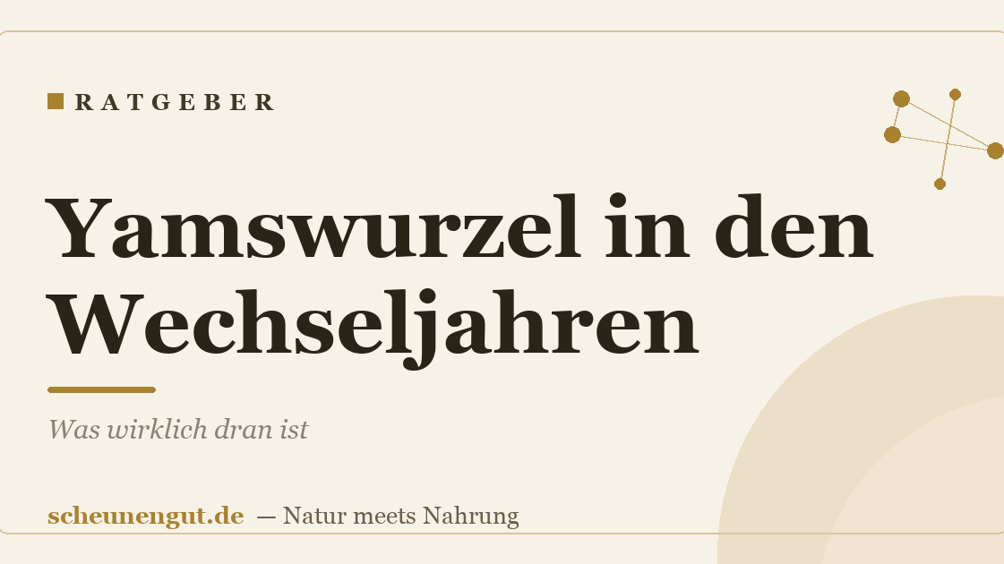 Yamswurzel in den Wechseljahren: Was wirklich dran ist