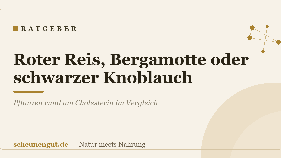 Roter Reis, Bergamotte oder schwarzer Knoblauch? Pflanzen rund um Cholesterin im Vergleich