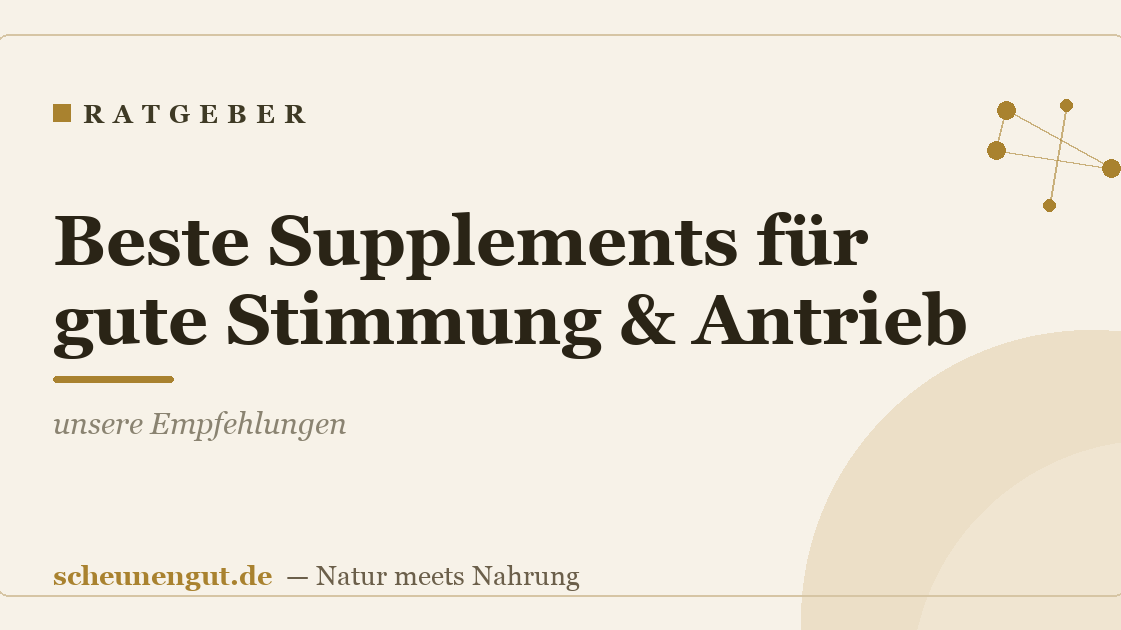 Beste Supplements für gute Stimmung & Antrieb: unsere Empfehlungen