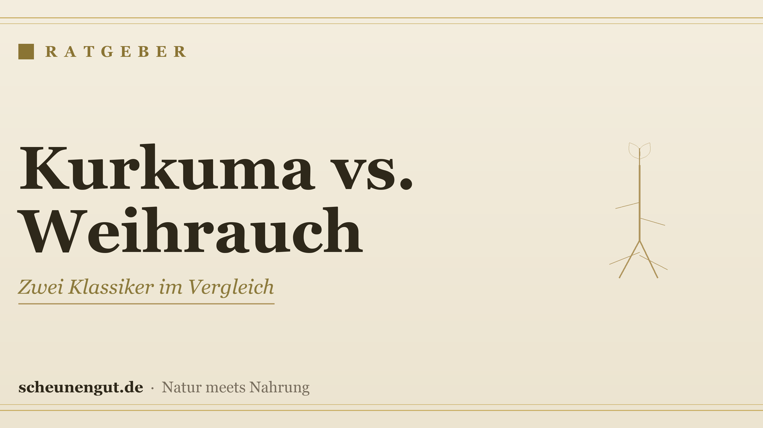Kurkuma oder Weihrauch? Zwei Klassiker im Vergleich – Ratgeber von Scheunengut