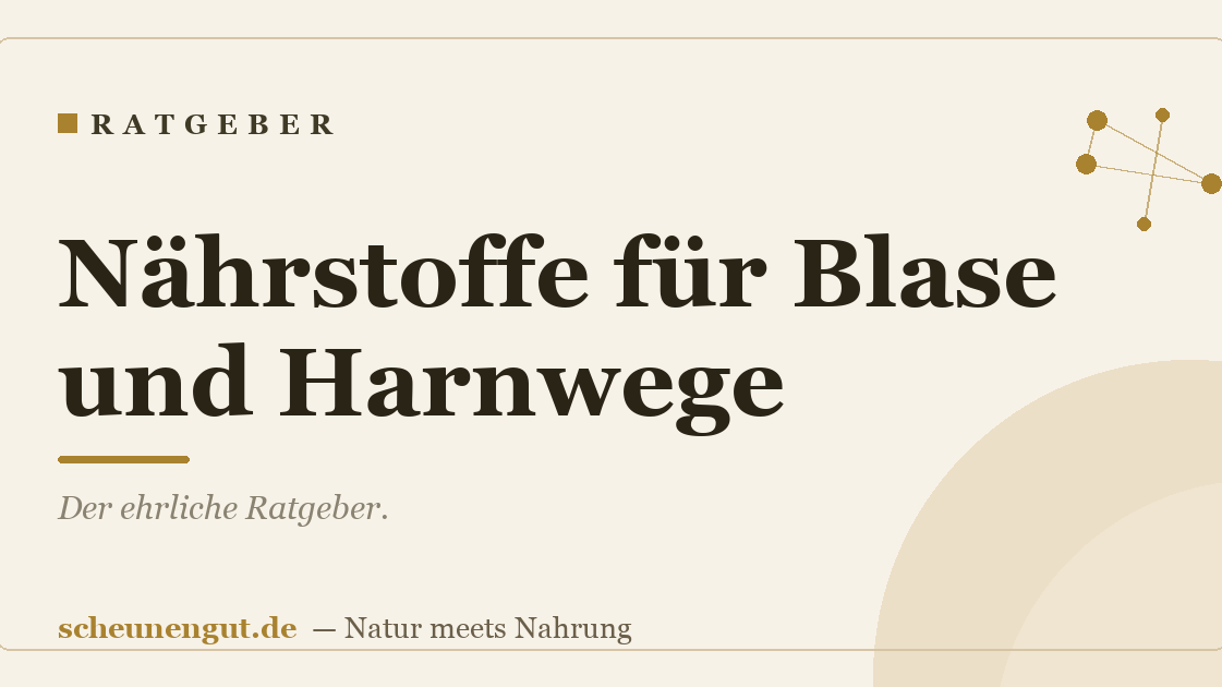 Nährstoffe für Blase und Harnwege