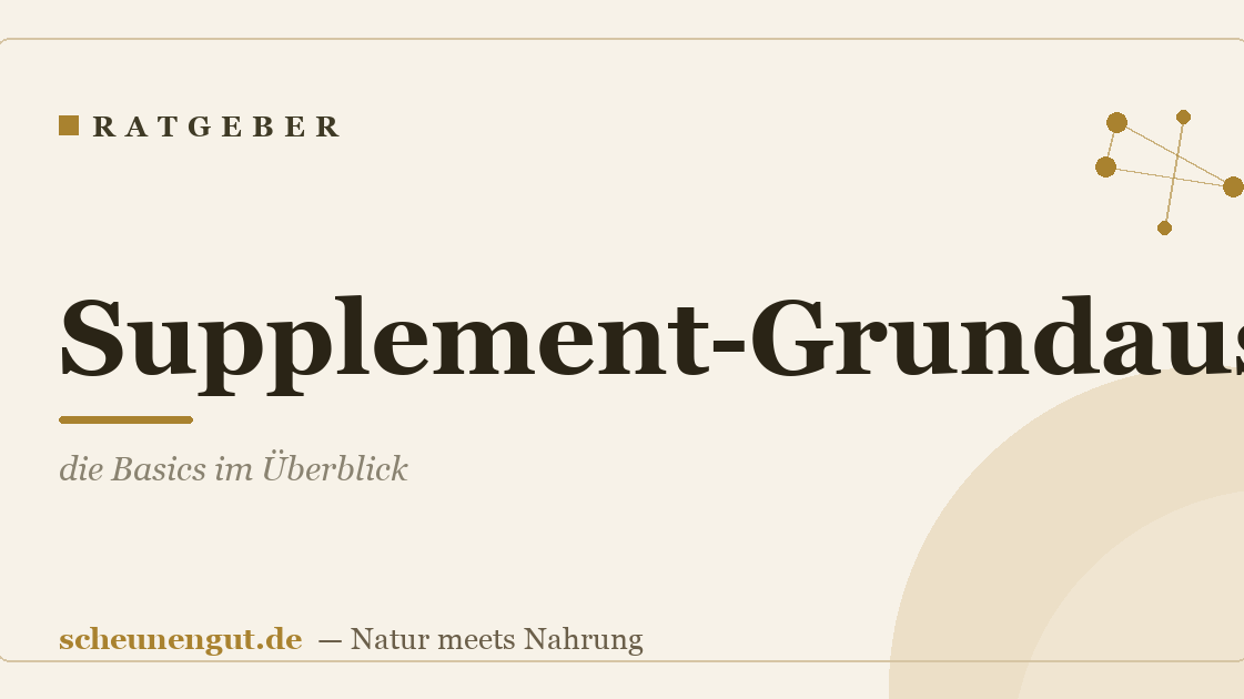 Supplement-Grundausstattung: die Basics im Überblick