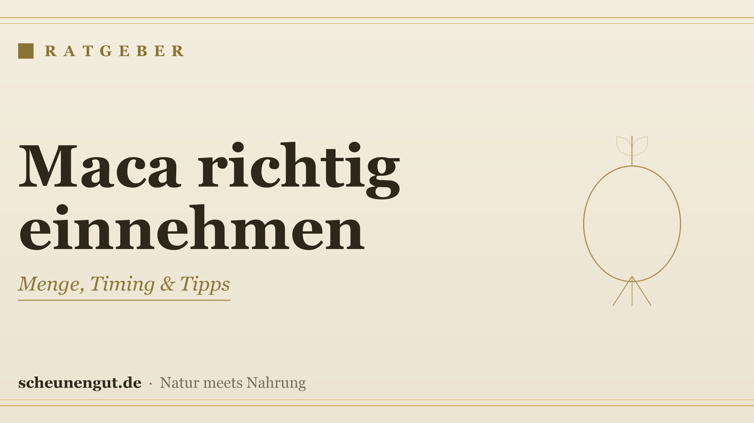 Maca richtig einnehmen: Menge, Timing & Tipps – Ratgeber von Scheunengut