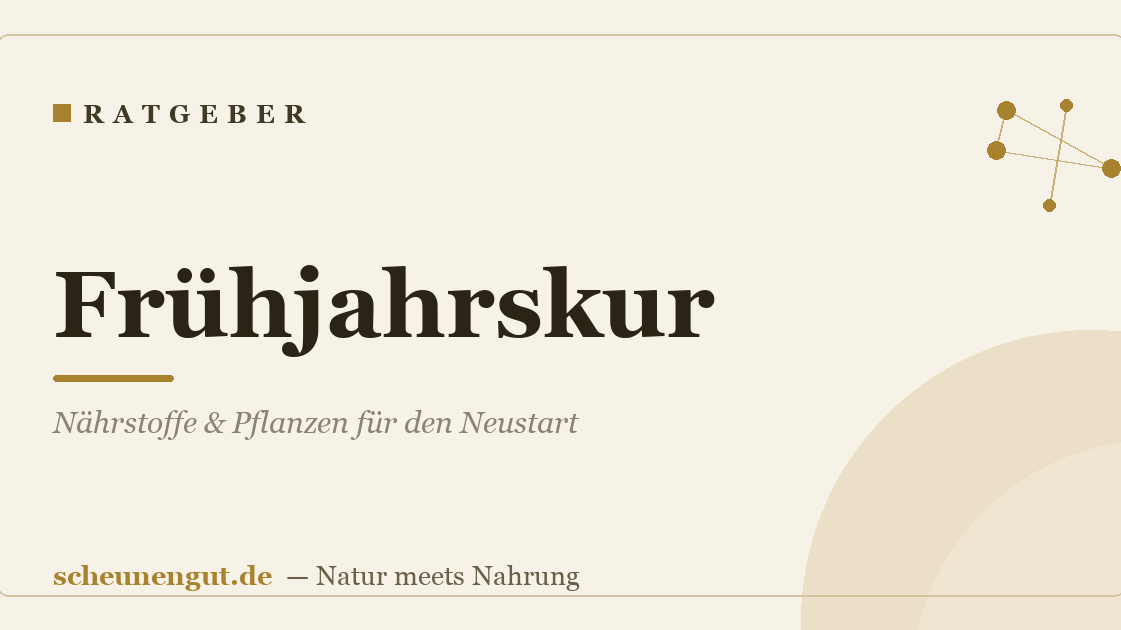 Frühjahrskur: Nährstoffe & Pflanzen für den Neustart