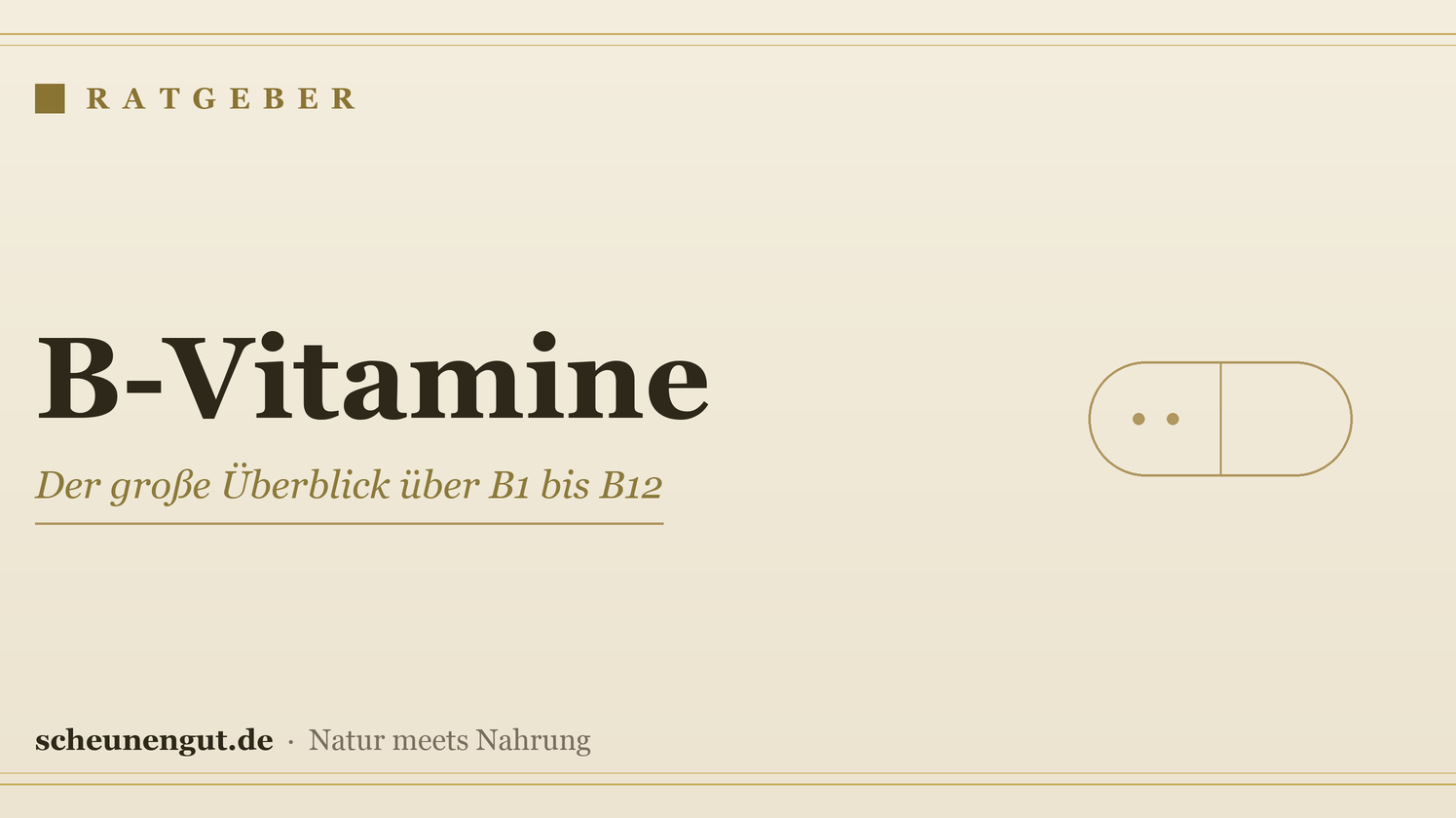 B-Vitamine – Ratgeber von Scheunengut