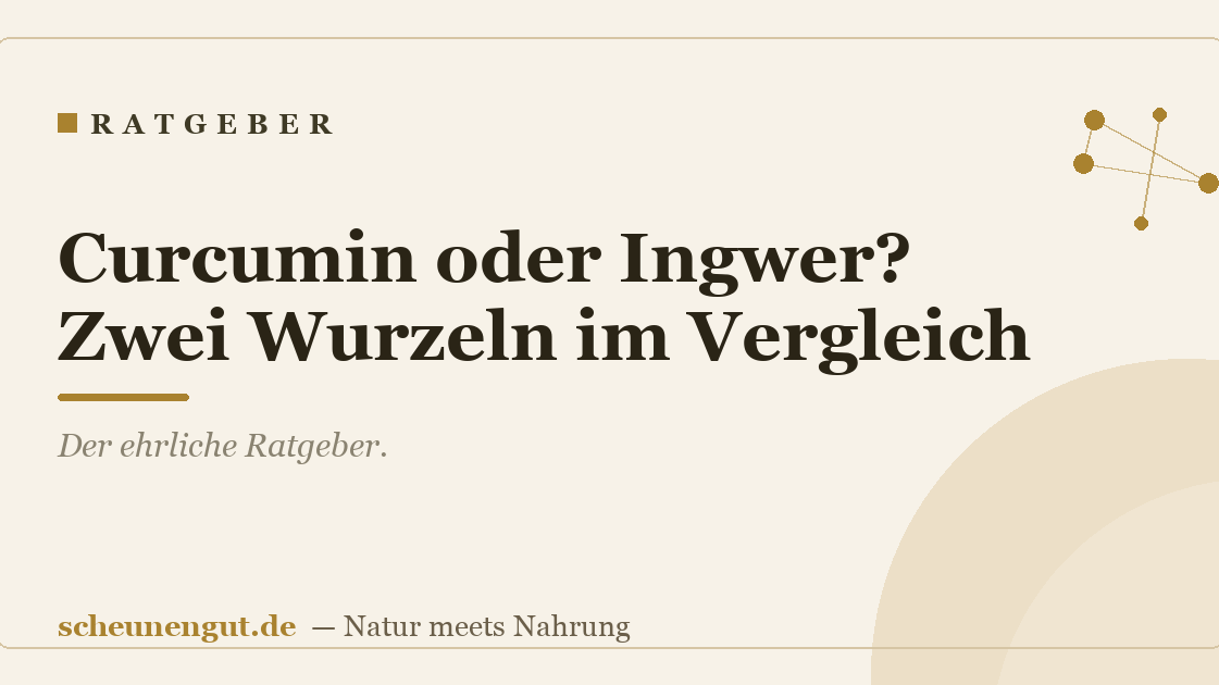 Curcumin oder Ingwer? Zwei Wurzeln im Vergleich