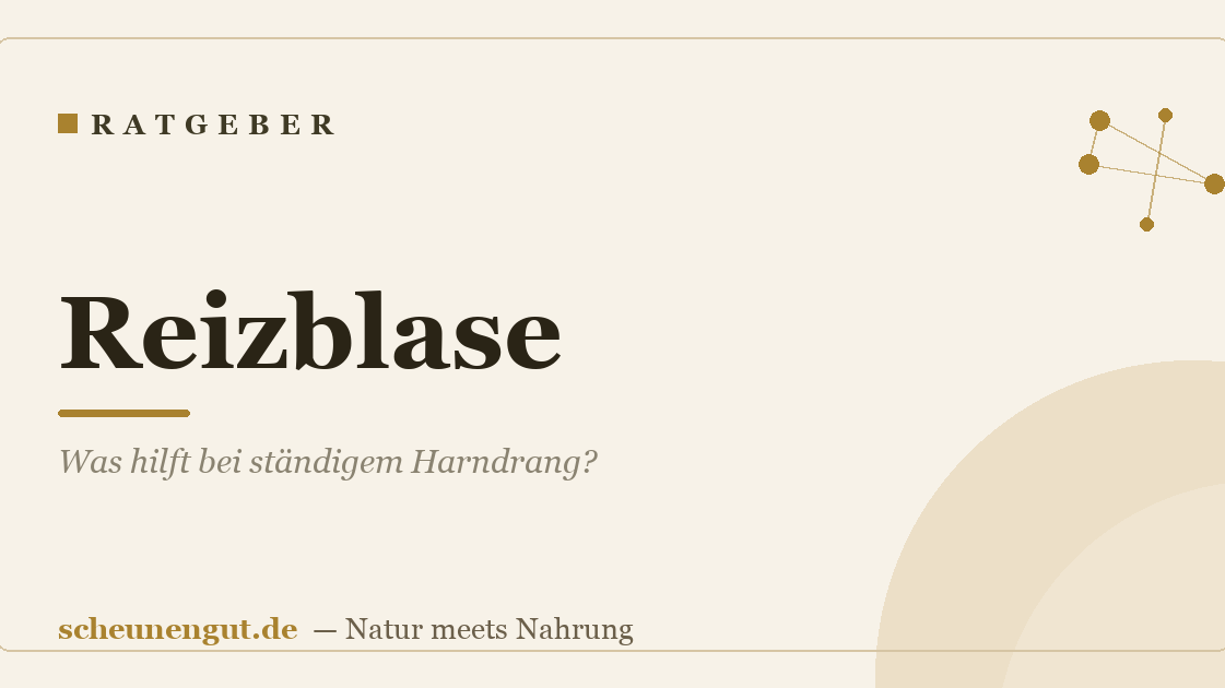 Reizblase: Was hilft bei ständigem Harndrang?