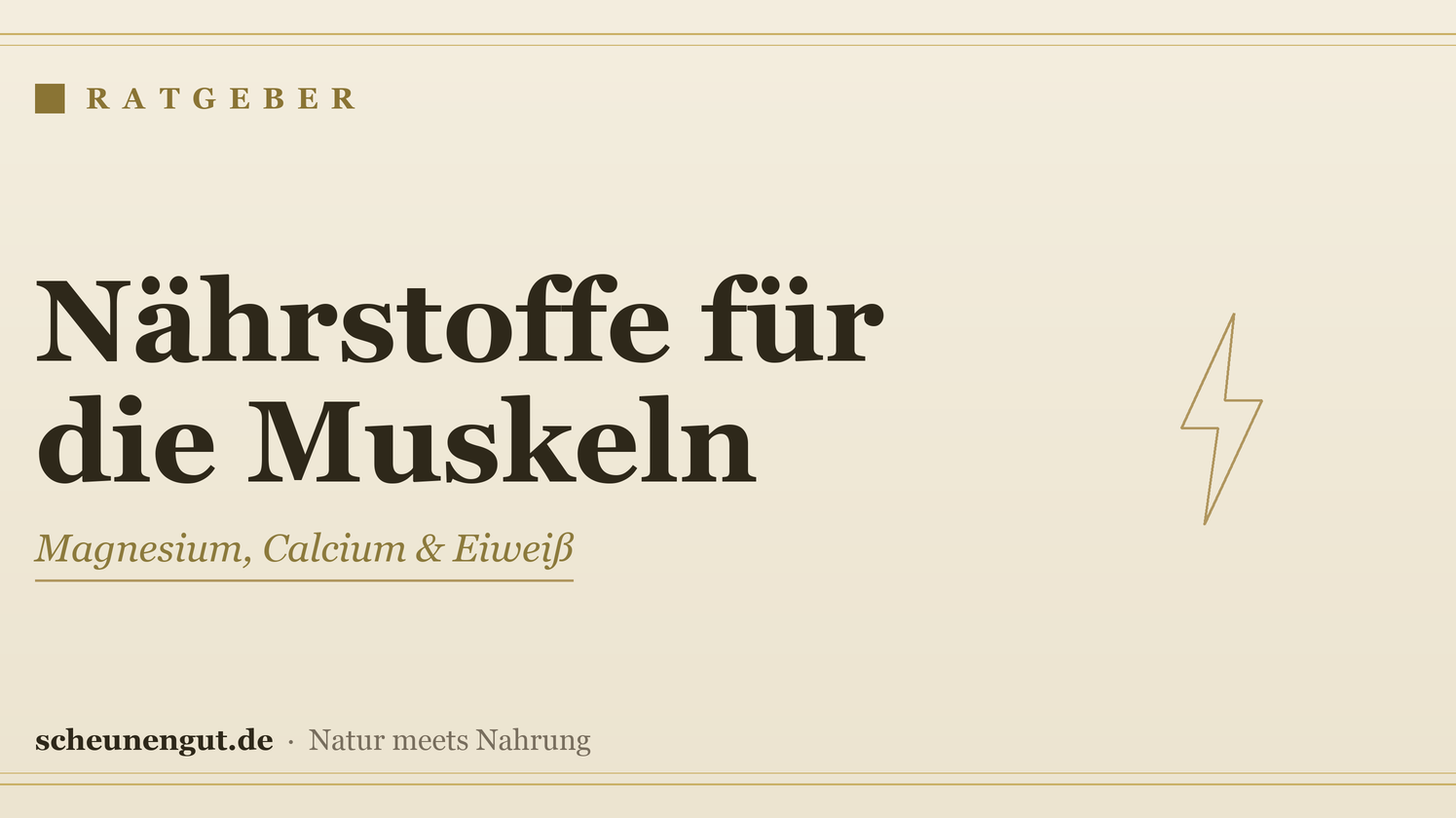Nährstoffe für die Muskeln – Ratgeber von Scheunengut