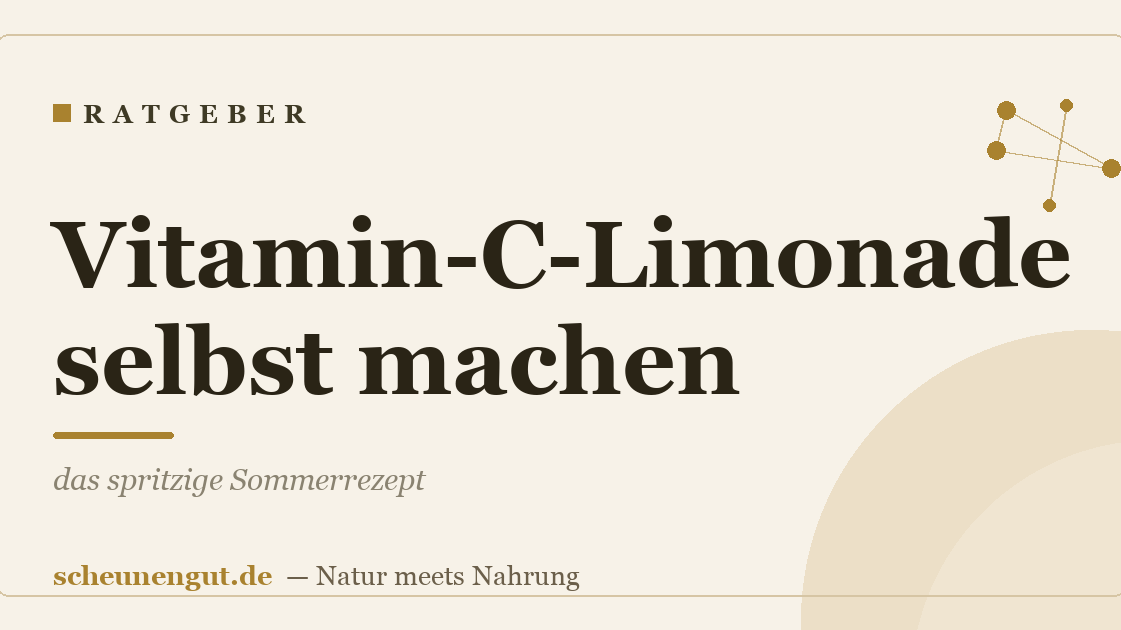 Vitamin-C-Limonade selbst machen: das spritzige Sommerrezept