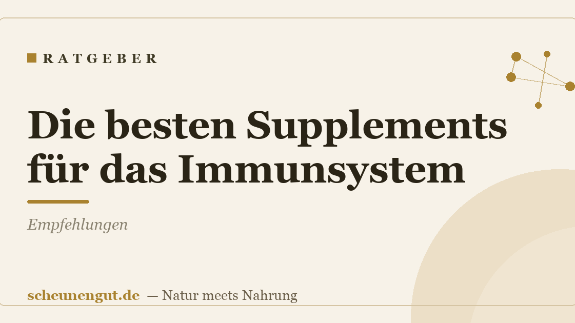 Die besten Supplements für das Immunsystem: Empfehlungen