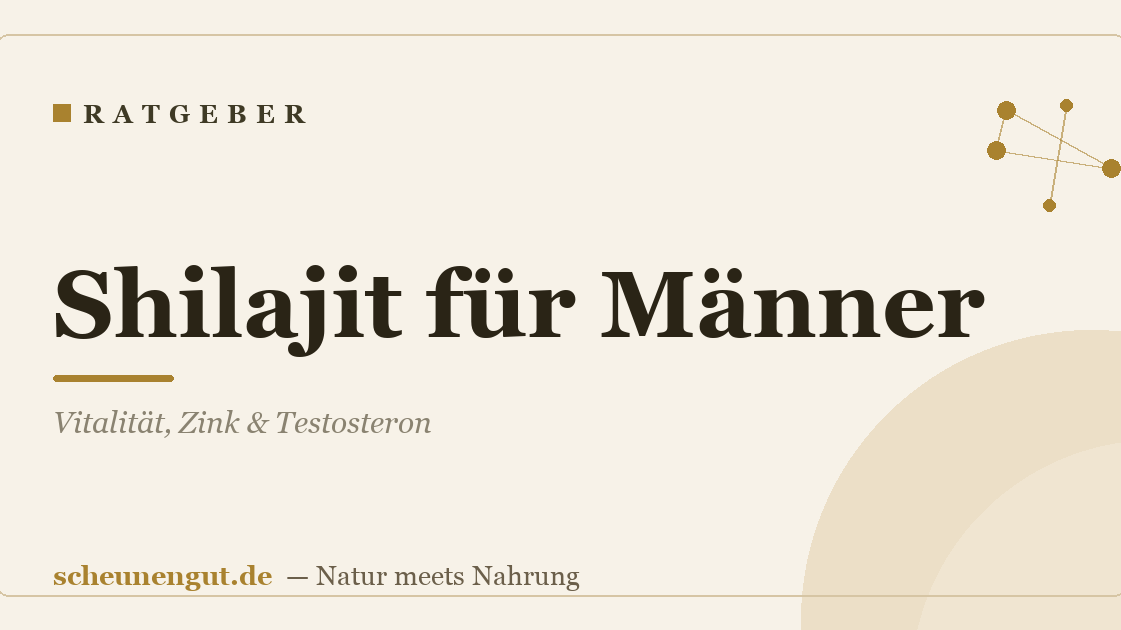 Shilajit für Männer: Vitalität, Zink & Testosteron