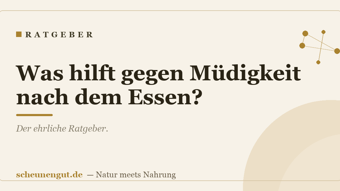 Was hilft gegen Müdigkeit nach dem Essen?