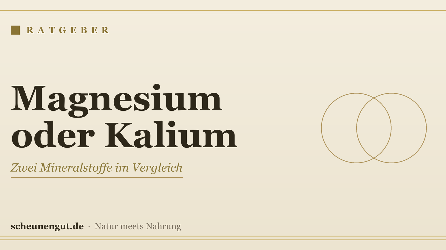 Magnesium oder Kalium: Wo liegt der Unterschied? – Ratgeber von Scheunengut