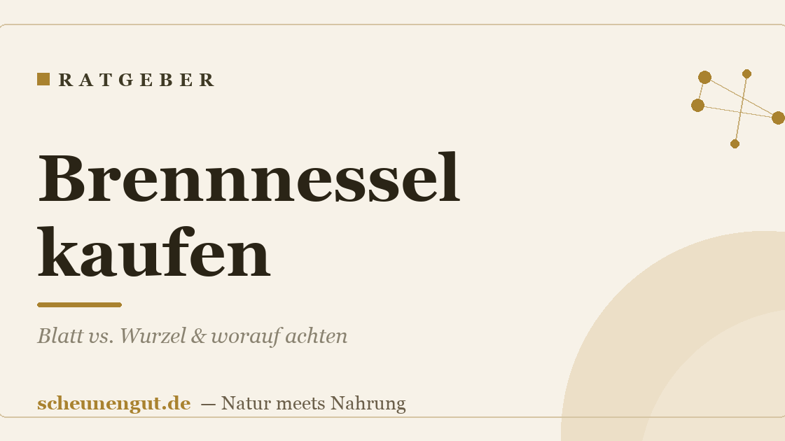 Brennnessel kaufen: Blatt vs. Wurzel & worauf achten