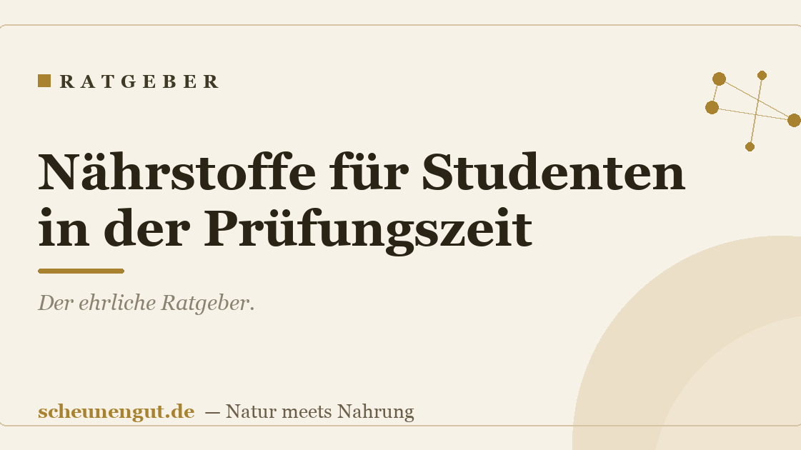 Nährstoffe für Studenten in der Prüfungszeit