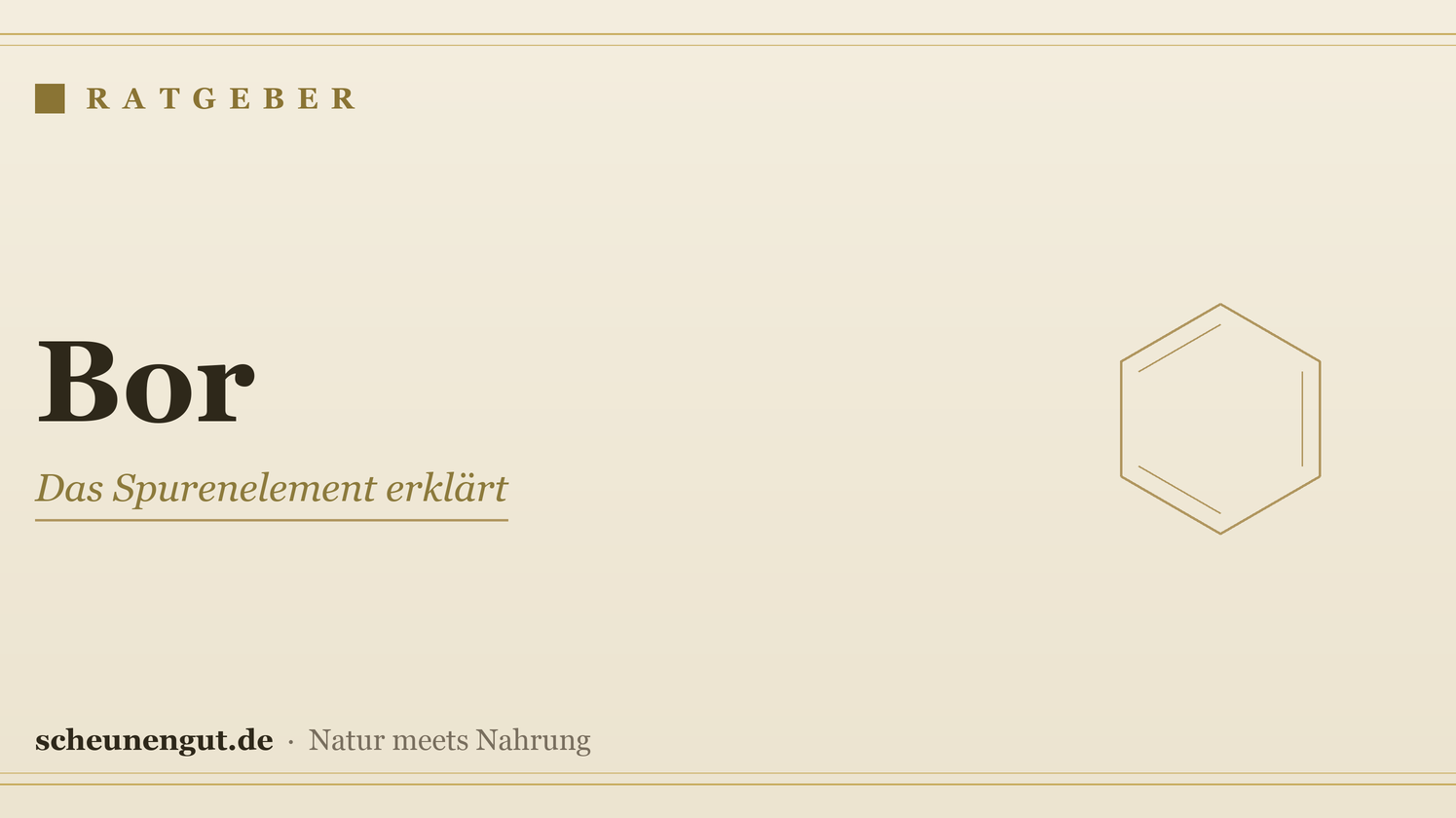 Bor: das Spurenelement erklärt – Ratgeber von Scheunengut