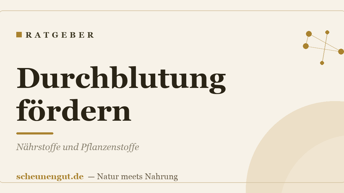 Durchblutung fördern: Nährstoffe und Pflanzenstoffe