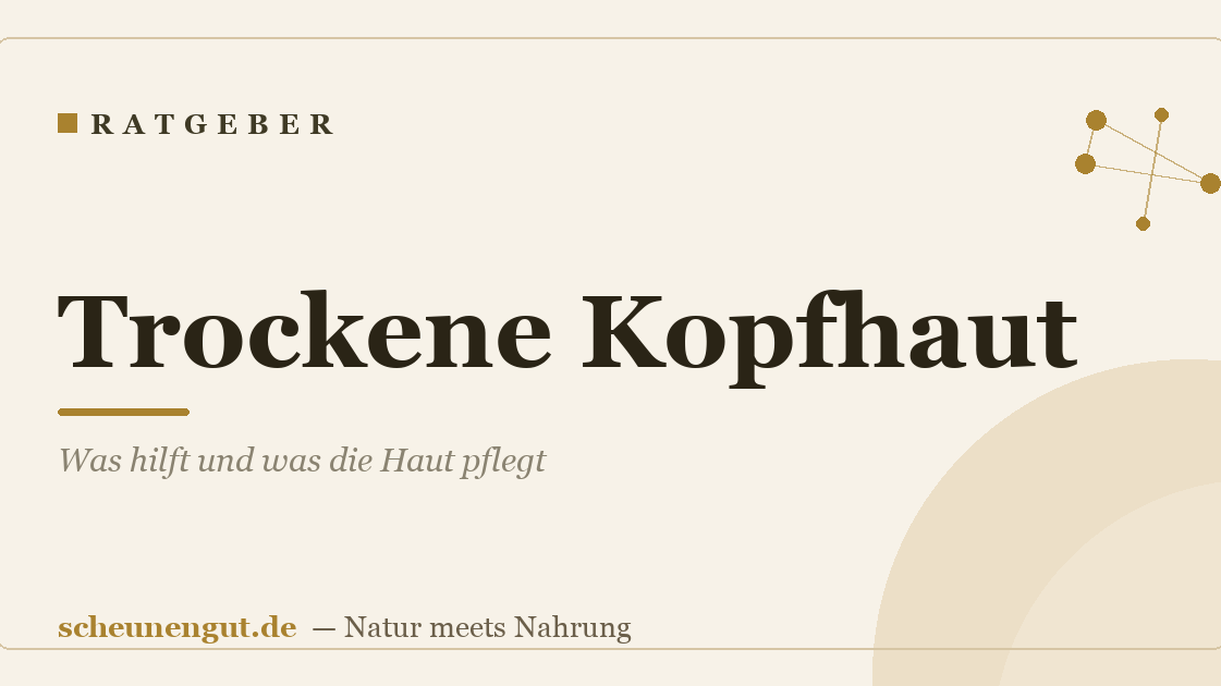 Trockene Kopfhaut: Was hilft und was die Haut pflegt