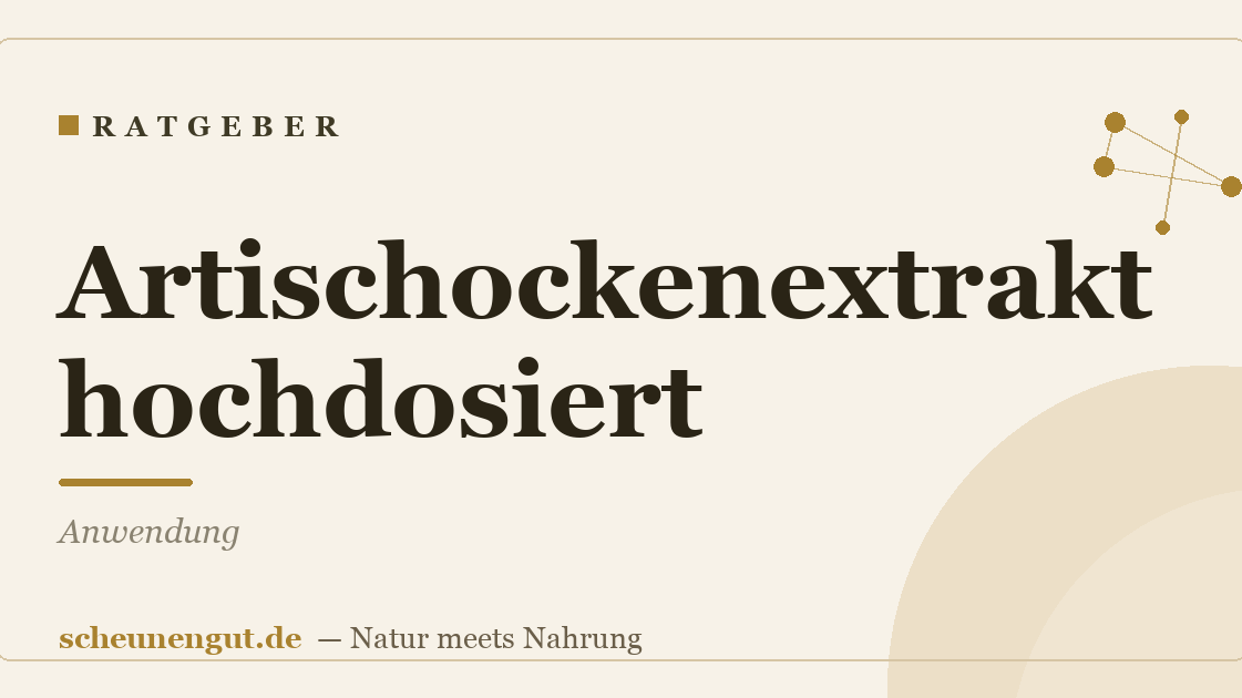 Artischockenextrakt hochdosiert: Anwendung