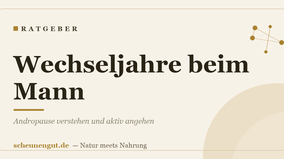 Wechseljahre beim Mann: Andropause verstehen und aktiv angehen